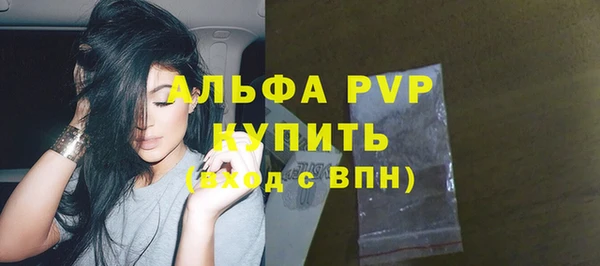 прущие грибы Кукмор