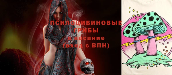 герыч Бородино