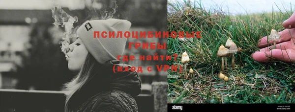 эйфоретик Бронницы