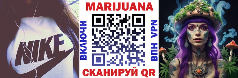 купить наркоту  Медногорск  Шишки марихуана сатива 
